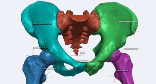 Simpleware Medical_5.png